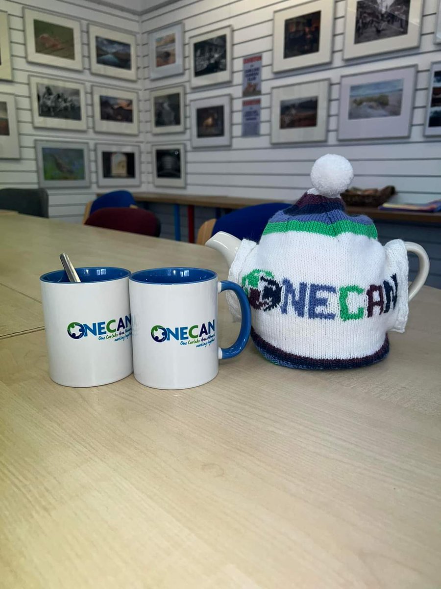 We love a pot of tea in the ONESpace so we were delighted when one of volunteers donated this amazing handmade tea cosy.  ☕️🫖 #tea #creativepeople #teacozy #onecan