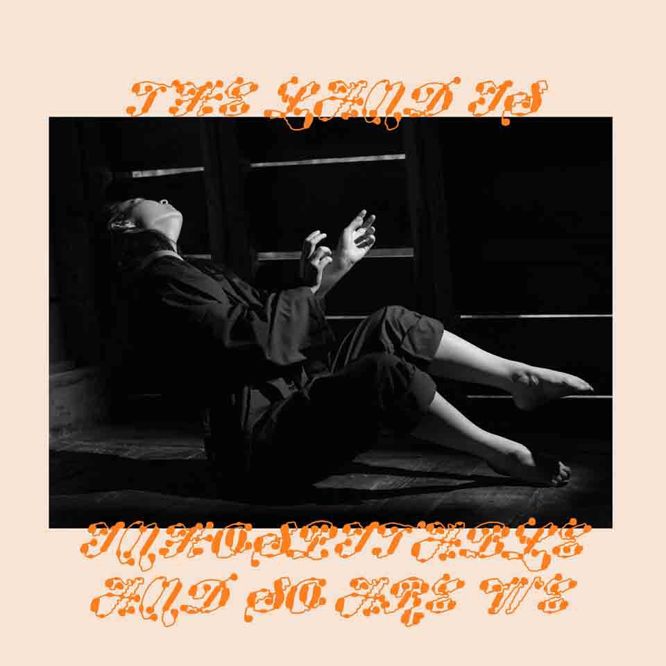 Mitski Updates tweet media