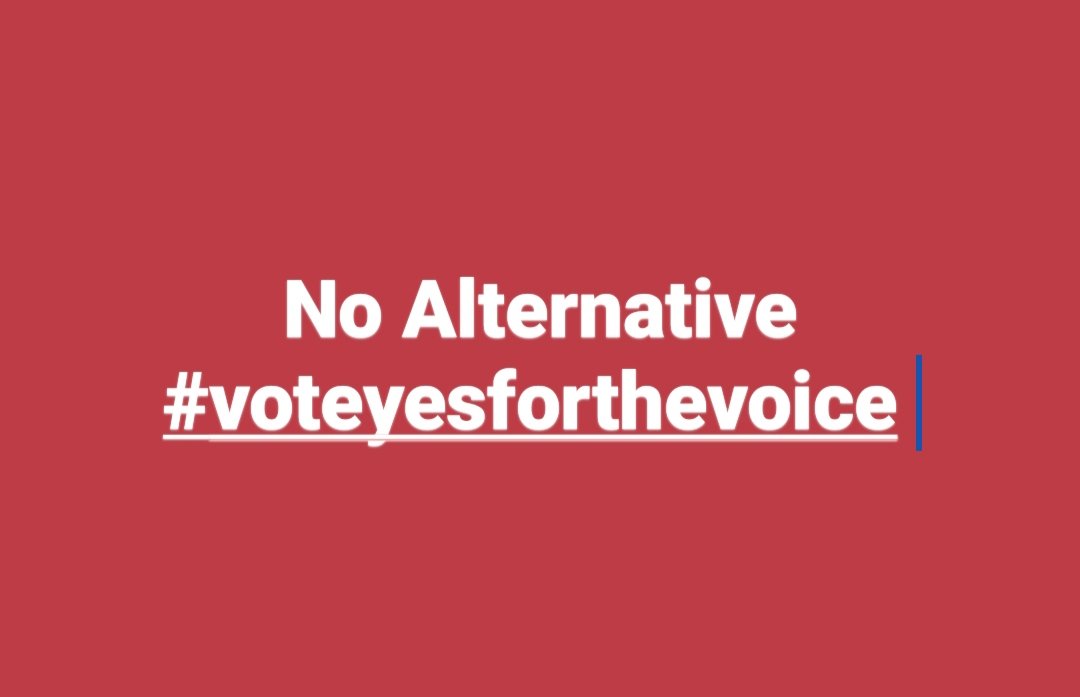 PiantaChris's tweet photo. @yes23au I will #voteyesforthevoice https://t.co/HIoTCnlq0B