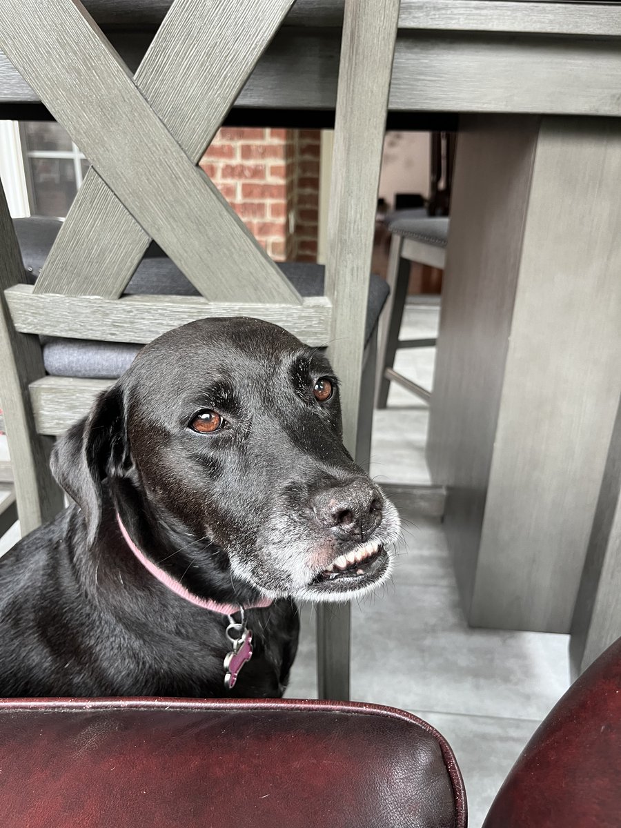 Dr. jordan berlin tweet media