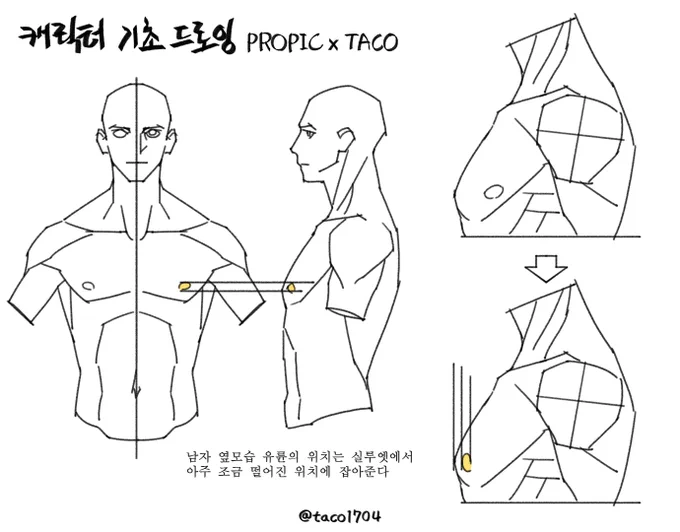 옆모습 남자 가슴 유륜의 위치는 실루엣에서 조금 떨어진 위치에 그려준다 (생각보다 멀리 있지 않다) 