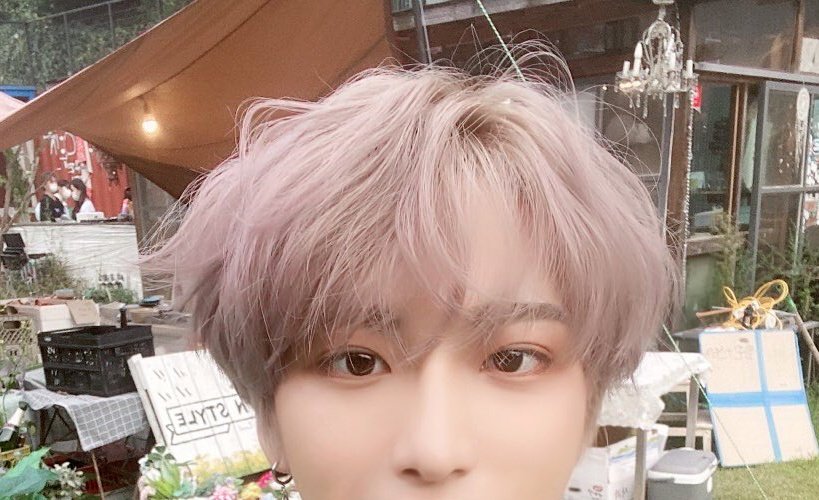 seonghwa as cats tweet media