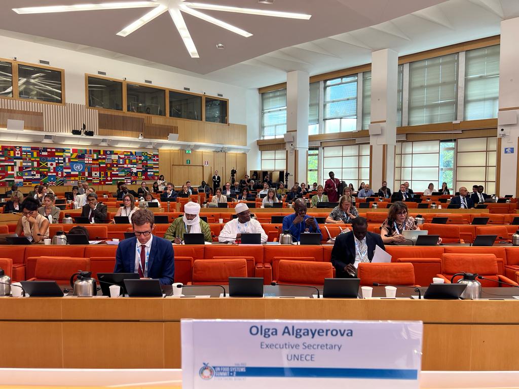 🇺🇳@UNECE has a long history of working on #agricultural quality standards to ensure the availability of #food & resilience of #FoodSystems. It has developed over 100 such standards to facilitate #trade & employment in agrifood sector ~ @algayerova @FoodSystems Summit in Rome