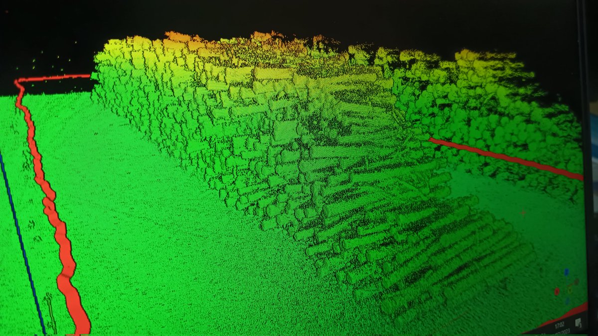 Flor Alvarez Taboada tweet media