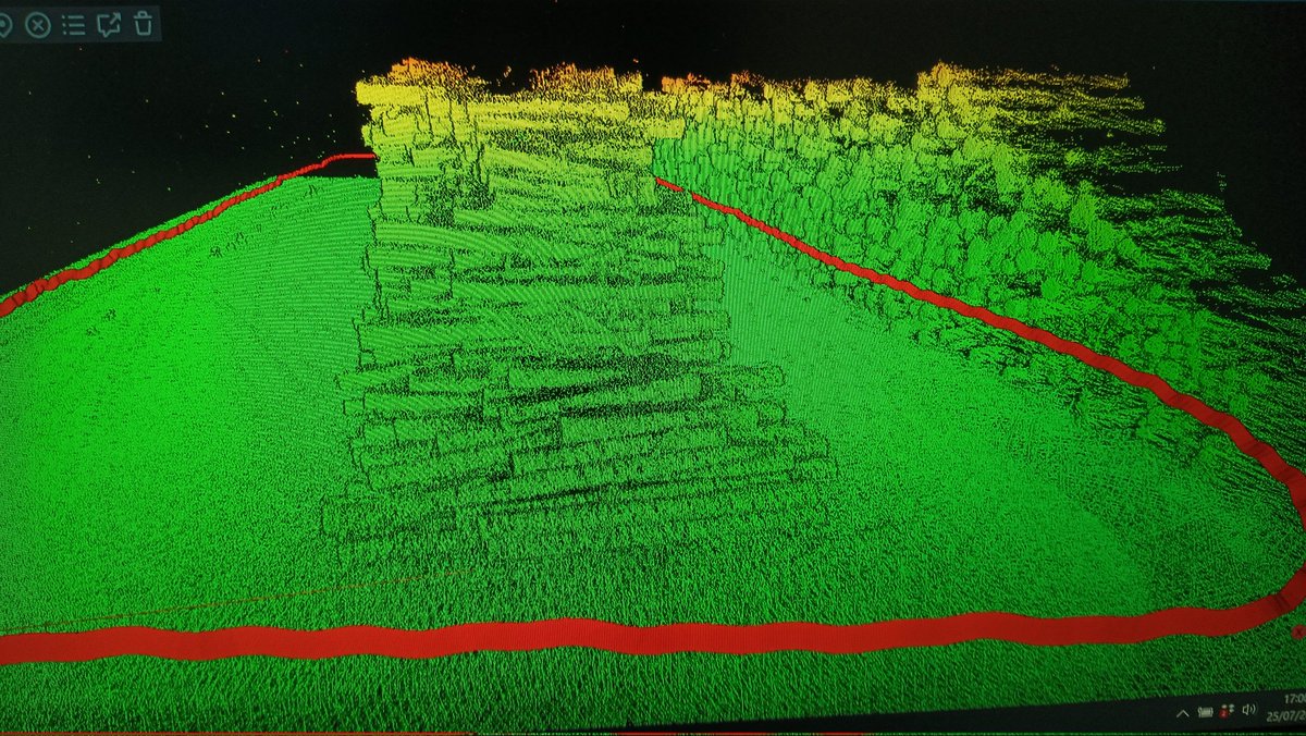 Flor Alvarez Taboada tweet media