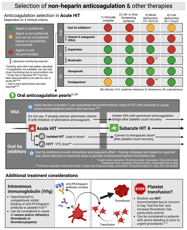 🚨Bookmark this🌟SPECTACULAR🌟illustrative review of HIT!
@CukerMD &amp; <a href="/jori_may/">Jori May, MD</a> created a fantastic visual guide outlining the diagnosis &amp; management. 
It is clear &amp; concise &amp; perfect for sharing! #AnticoagStewardship #TwitteRx <a href="/AnticoagForum/">Anticoagulation Forum</a>
<a href="/RPTHjournal/">RPTH</a>
rpthjournal.org/action/showPdf…