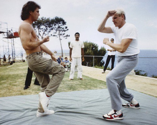 #melgison & #garybusey #lethalweapon #fight #behind (2/2)