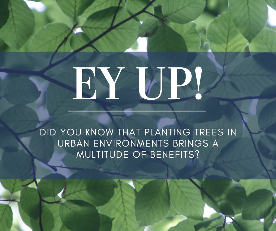 PLANT THAT TREE! 🌲

Let's work together to make our cities greener and healthier! Plant a tree, and you'll be contributing to a better future for yourself and generations to come.

#UrbanTrees #GreenerCities #CleanAir #BarnesAssociates