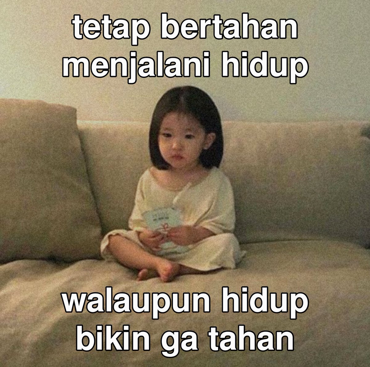 kelvin tweet media