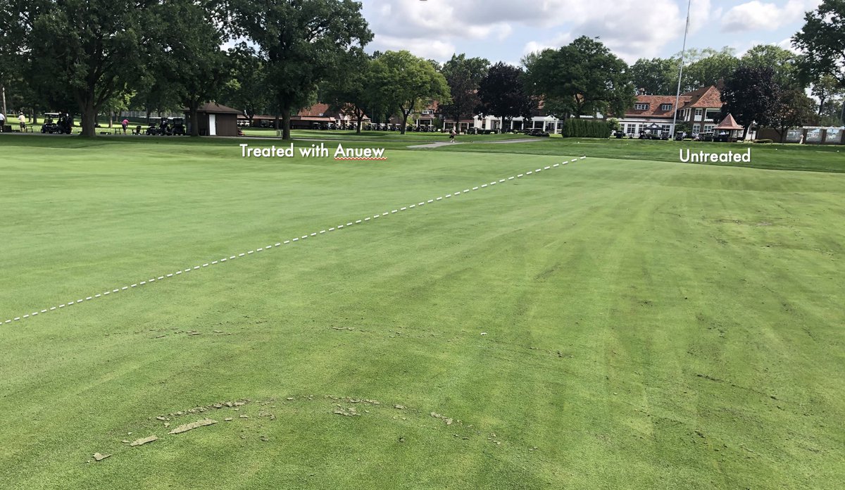 ✅ Maintain pristine surface conditions
✅ Find savings on time &amp; labor
✅ Apply with easier convenience 

New liquid PGR Anuew™ EZ checks all the boxes. Learn more about how Anuew EZ will save you time and improve playability. bddy.me/43G1vHC