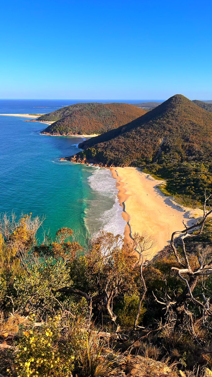 CathyStapleton's tweet photo. And from Tomaree Summit - what a view 😍 https://t.co/02sLvyVNUL