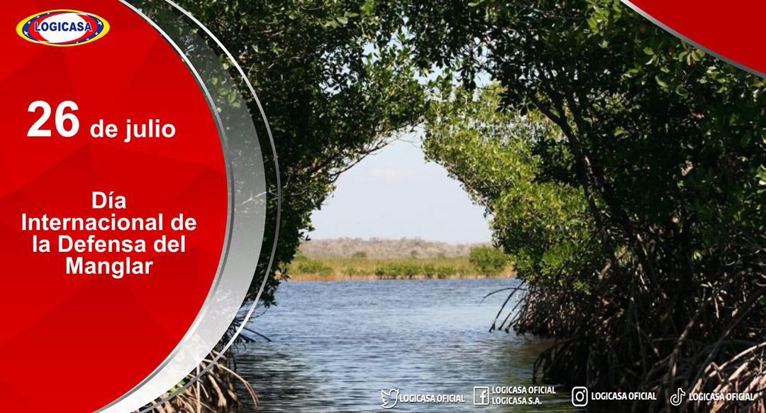 #Efeméride🗓️ || Cada #26Julio se conmemora el Día Internacional en Defensa del Ecosistema del Manglar, una idea que surgió en reconocimiento a la muerte en Ecuador de un activista de Greenpeace, originario de Micronesia, Hayhow Daniel Nanoto en 1998.
#PlanDescontaminaciónDelLago