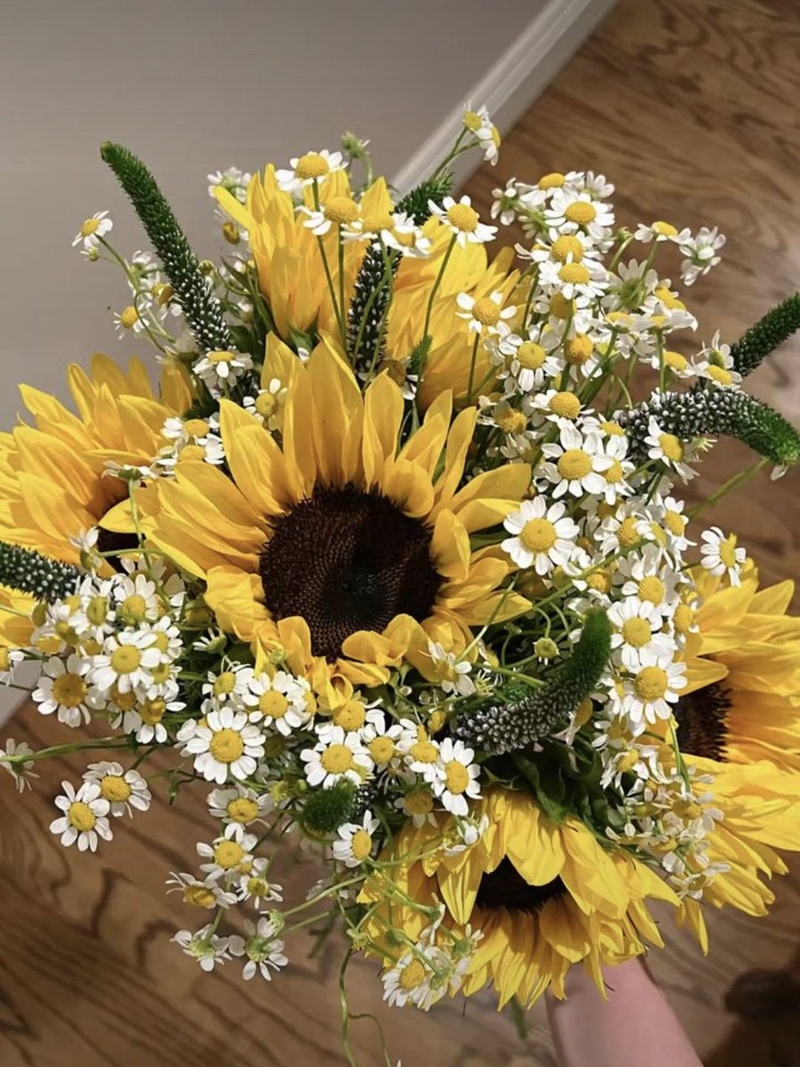 sunflowerchives's tweet photo. sunflowers &amp; chamomiles🌼🌻 https://t.co/AfGtX2x4Ob