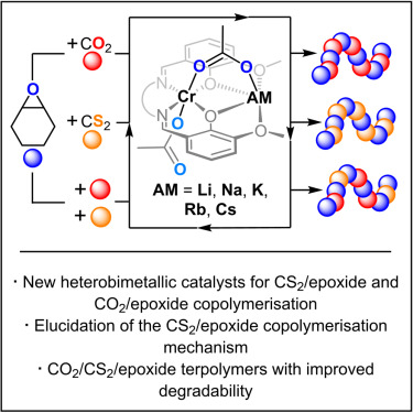 Plajer Group (@ajplajer) on Twitter photo Hey everyone!!! We're super excited to share our most recent publication in <a href="/CellRepPhysSci/">Cell Reports Physical Science</a> . It is now online and open access.
Special mention to the authors: Jenny, Merlin (<a href="/MerlinStuehler/">Merlin Stühler</a>), Susanne, and Sam.
Link: cell.com/cell-reports-p…
#ROTERP #bimetallic #degradable Hey everyone!!! We're super excited to share our most recent publication in <a href="/CellRepPhysSci/">Cell Reports Physical Science</a> . It is now online and open access.
Special mention to the authors: Jenny, Merlin (<a href="/MerlinStuehler/">Merlin Stühler</a>), Susanne, and Sam.
Link: cell.com/cell-reports-p…
#ROTERP #bimetallic #degradable