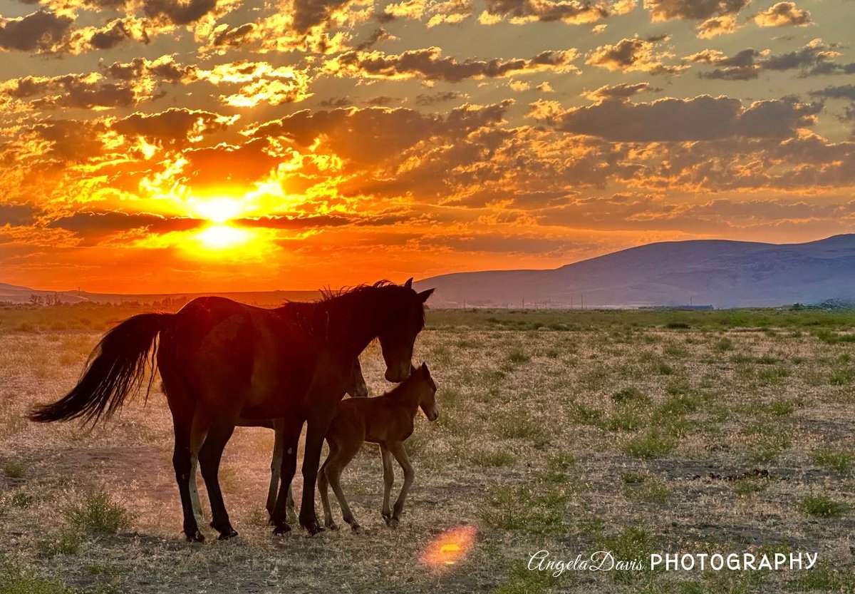 It doesn't get much more Nevada than this! Thank you to Angela Davis for this breathtaking shot! Submit your photos and videos to mynews4.com/chimein for a chance to be featured on air and online.