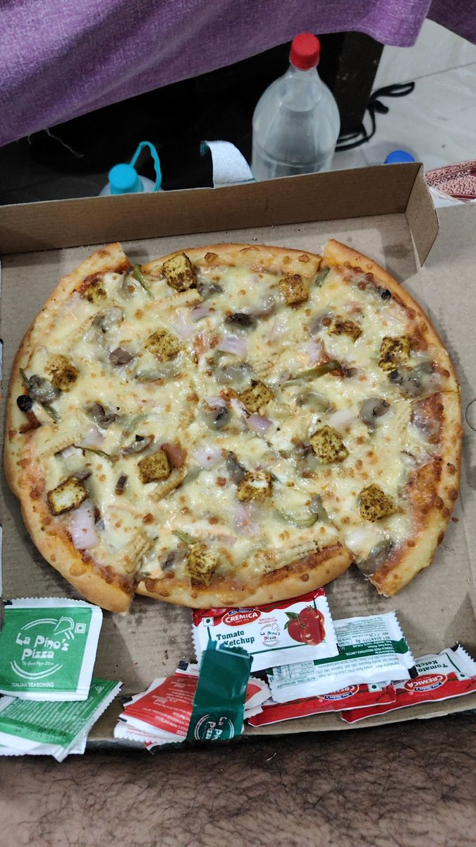 not_bosco's tweet photo. @LaPinozPizzaInd .looks like assembled pizzas are the new deal now.very embarrassing.i regret ordering. https://t.co/I9n9yLSlCF