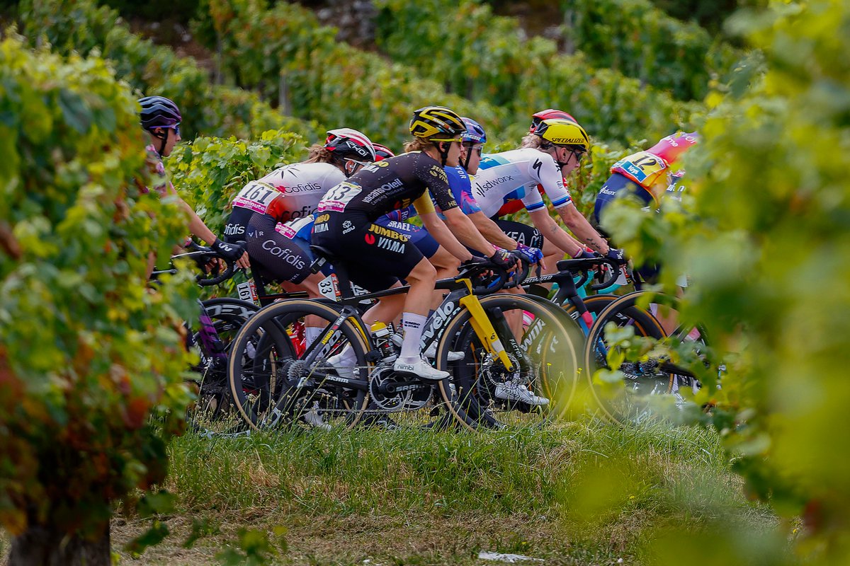 🇫🇷 #TDFF2023

85 kilometres before we reach Rodez.

The breakaway including <a href="/CorynRivera/">Coryn Labecki</a> has a 9-minute lead over the peloton, where the other 🐝's are.