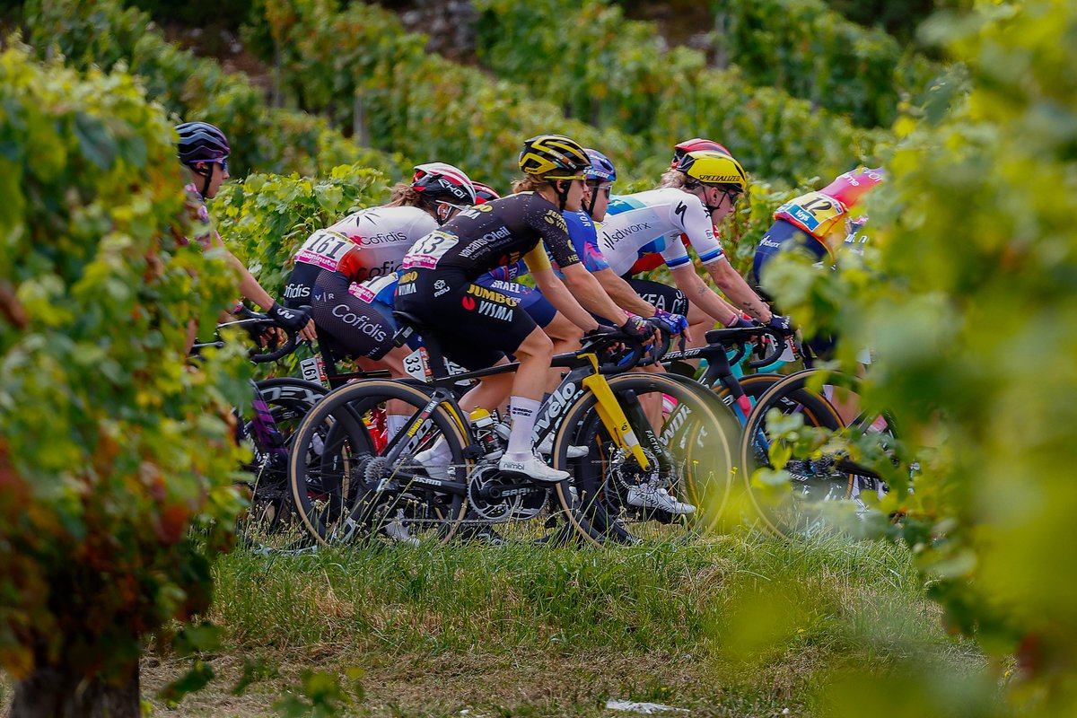 🇫🇷 #TDFF2023 85 kilometres before we reach Rodez. The breakaway including @CorynRivera has a 9-minute lead over the peloton, where the other 🐝's are.