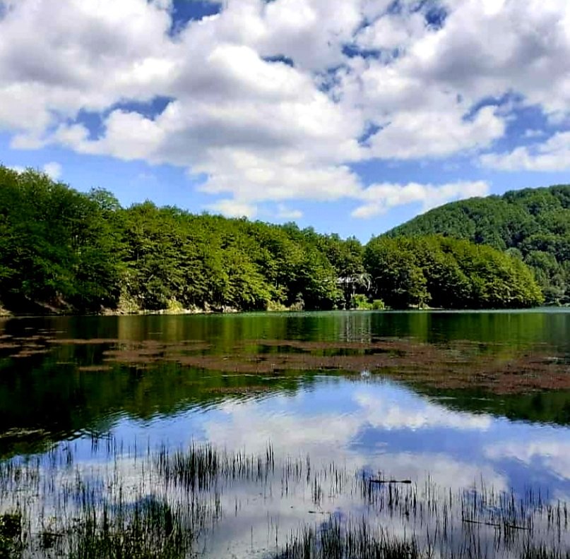 Convert the Intensity of Pain into the Strength of Love.💙 Tuscany🇮🇹 📸My blue memory