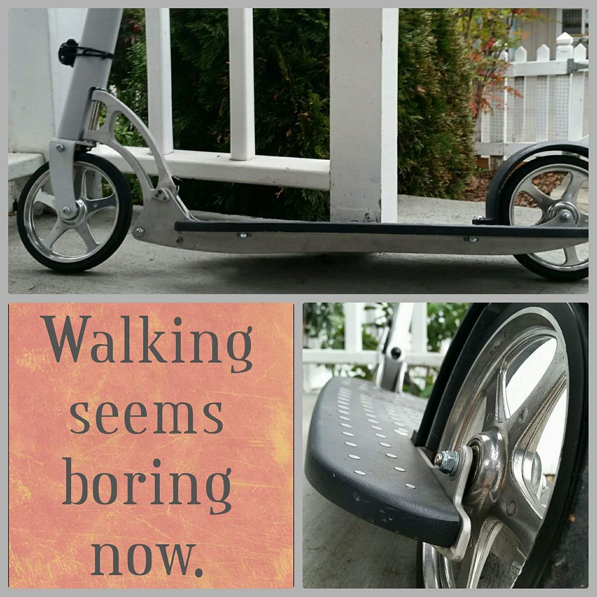 Xootr Scooters tweet media