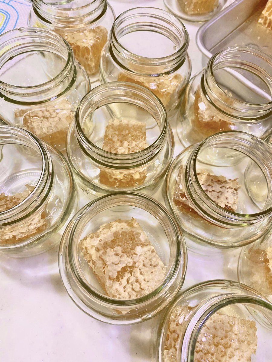 出店情報✨
7/29(土)11:00〜19:00
北坂戸イーストフェスin 芦山公園

#OHB は #生はちみつ と生はちみつドリンクを
お届けします🍯

生はちみつフルーツドリンクは栄養価が高く熱中症対策としてもおすすめ。

また今回は初めて #巣蜜 入りの #はちみつ を販売！とっても貴重で数量限定なのでお早めに！