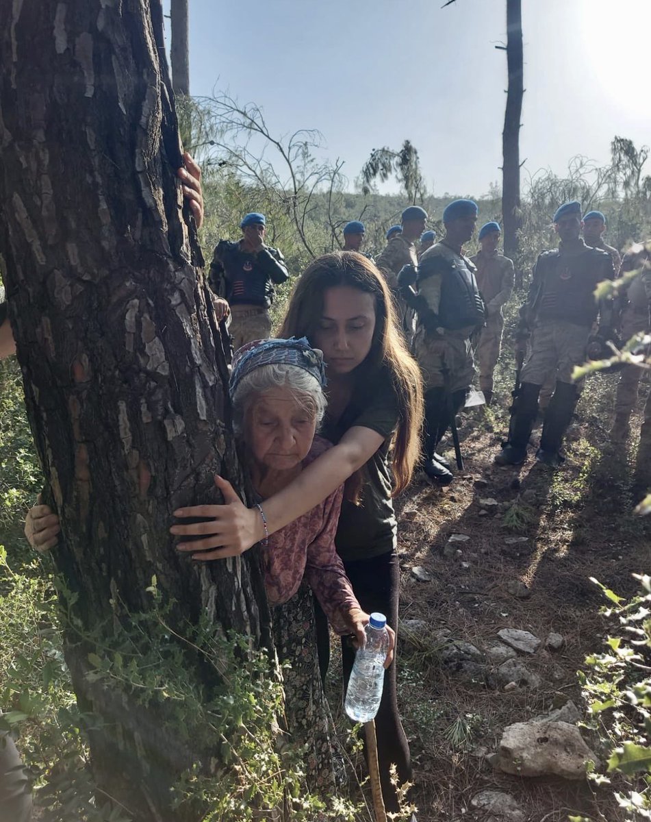Zehra Ninem ağaca sarılıyor, hayata sarılır gibi... Acı olan kendi ülkemizde, kendi ağacımızı, kendi devletimize karşı savunuyor olmak.