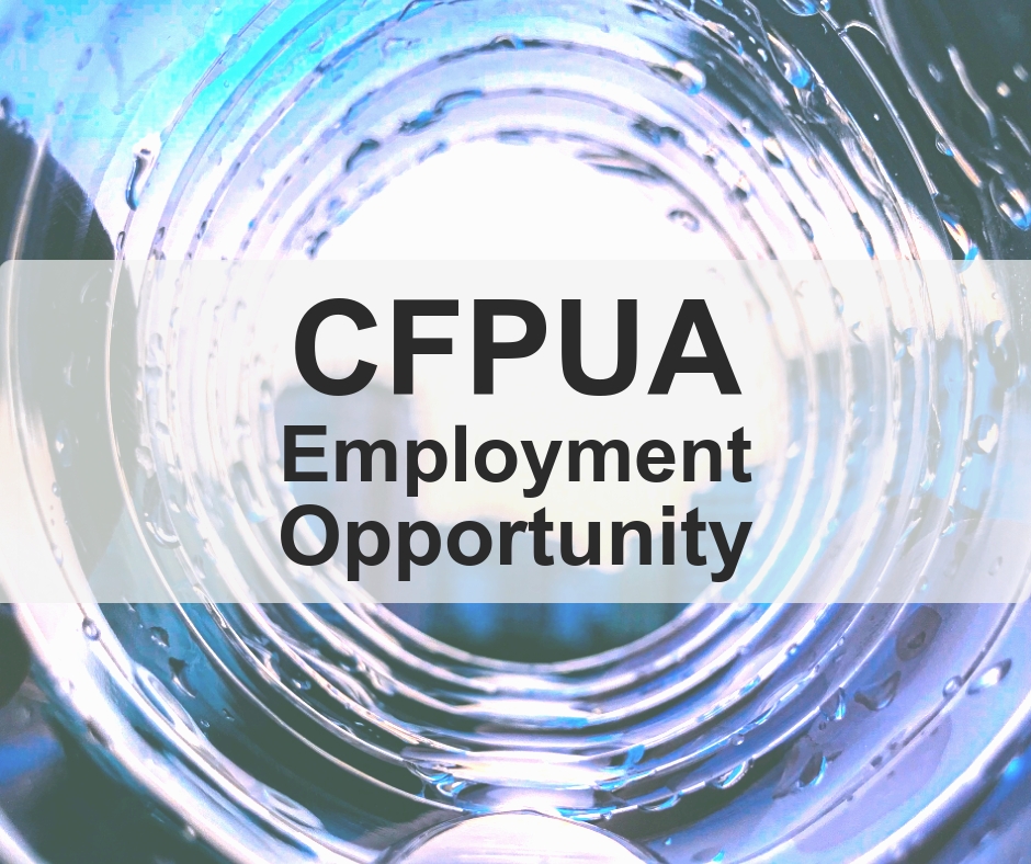 Join the team that keeps things flowing in our community 💙 Check out CFPUA career opportunities at governmentjobs.com/careers/cfpua, including:
👷‍♀️ Construction Worker
👨‍💻 Procurement Analyst
👨‍🔧 Meters Tech
👩‍🔬 Water Quality Tech

#WilmingtonNC #NowHiring #JobOpen