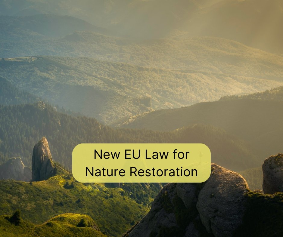 🎉 Celebrating a Big Win for Nature Conservation! 🌿🌍 EU's Nature Restoration Law is a game-changer, paving the way for greater biodiversity and climate action. Let's embrace this milestone for a more sustainable future! 💚💪 #NatureConservation #ClimateAction #WinForNature
