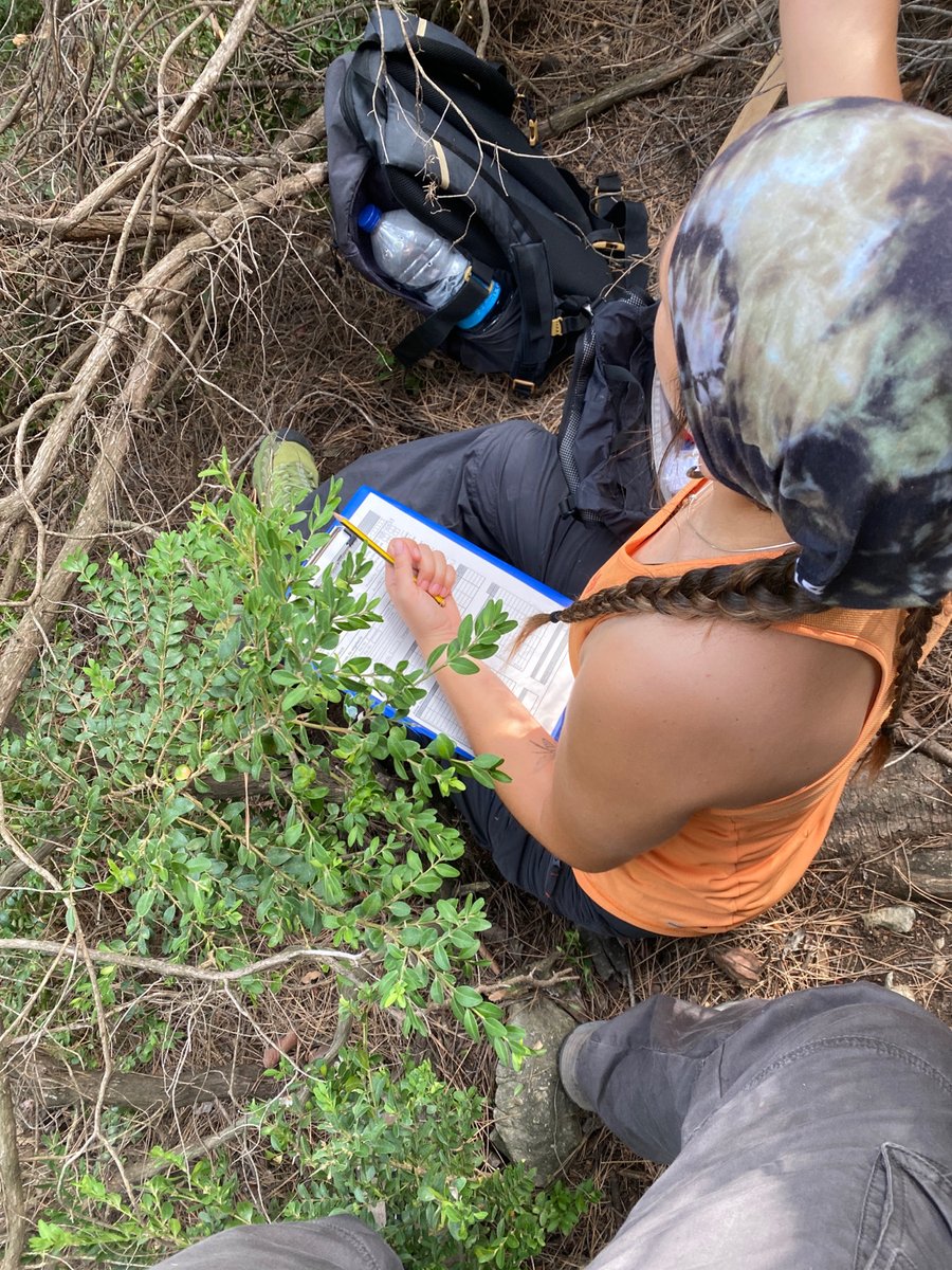 Parcs de Catalunya (@parcscat) on Twitter photo Fem inventari d'una finca privada al #PNPorts, adherida al LIFE #RedBosquesClima <a href="/redeuroparc/">EUROPARC-España</a>
Identifiquem característiques de la massa forestal, arbres de futur, espècies secundàries, fusta morta en peu o al terra, i altres elements.
Més info ➡️redbosquesclima.eu Fem inventari d'una finca privada al #PNPorts, adherida al LIFE #RedBosquesClima <a href="/redeuroparc/">EUROPARC-España</a>
Identifiquem característiques de la massa forestal, arbres de futur, espècies secundàries, fusta morta en peu o al terra, i altres elements.
Més info ➡️redbosquesclima.eu