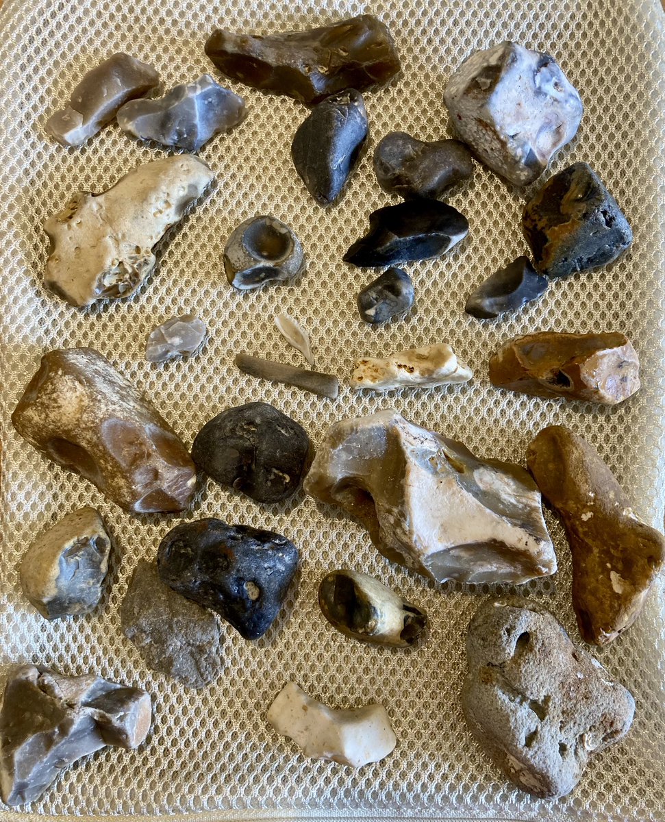 The Isle of Wight seaside is full of yummy fossils and rocks. If only I’d brought an extra suitcase… #fossils #jurassiccoast #isleofwight #comptonbay