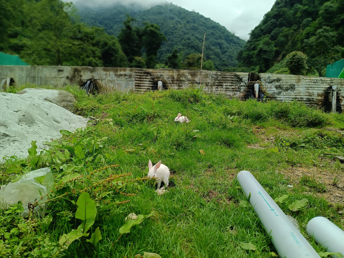 <a href="/RameshMuka98986/">Ramesh Mukarung</a>