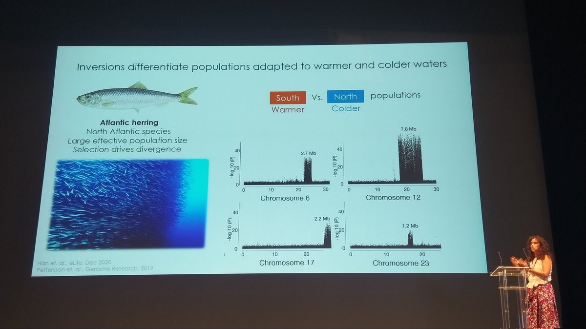 CristianaMarques tweet media