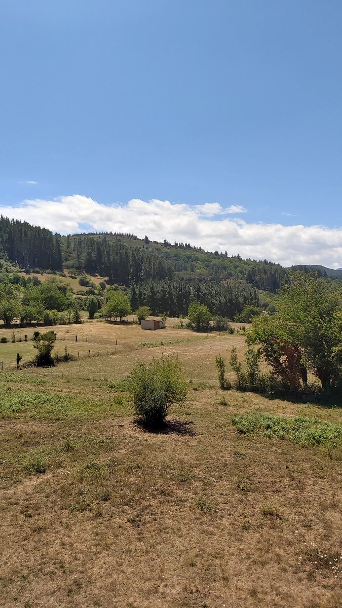 Apez140's tweet photo. #Ratos desde una habitación en Aliezo, Cantabria #NorthernSpain #Magia y #Belleza #Inmensas en #Liébana, #PicosDeEuropa...🧚♂️😎
#TourismSpain🇪🇦 https://t.co/07jD0RRdIk