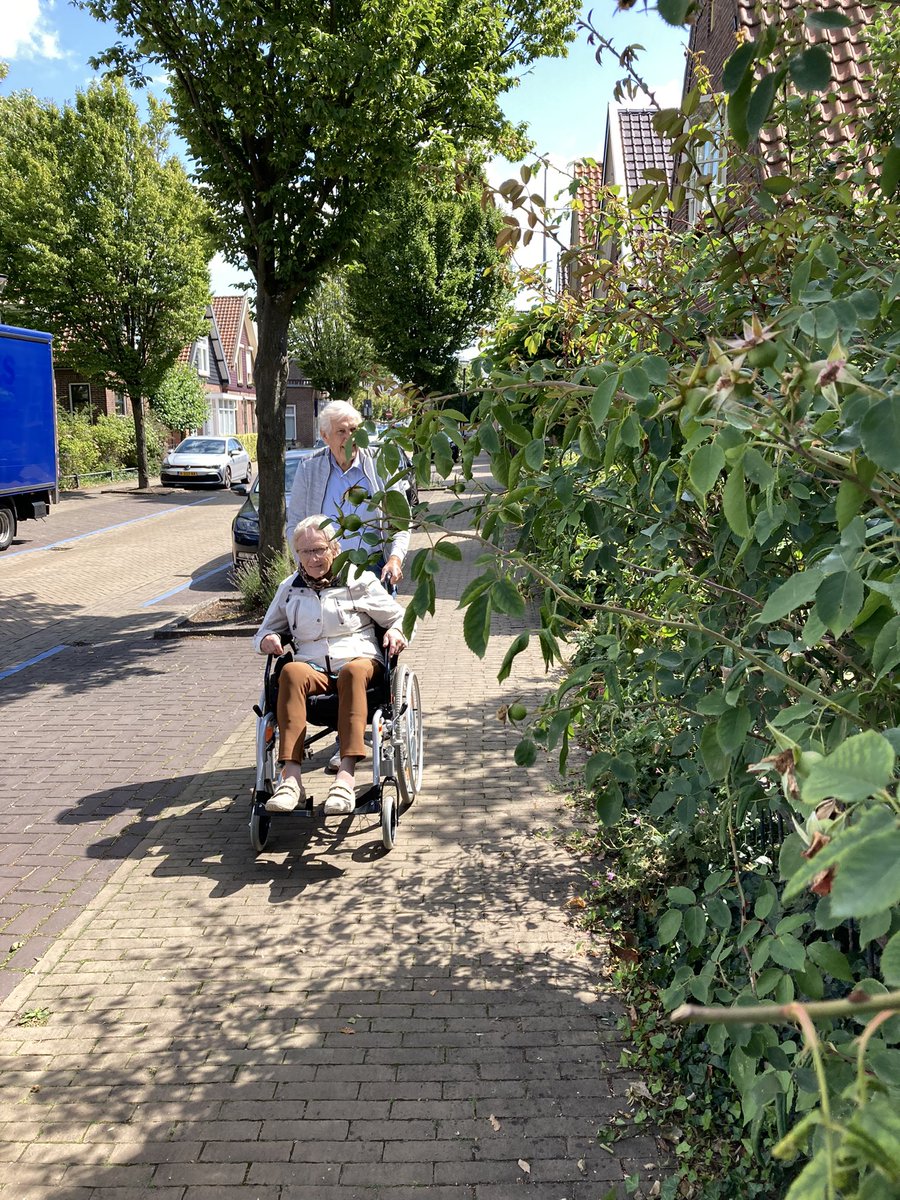 Overgangende takken over het trottoir. Hier zelfs met prikkels. Voor deze oudjes onhandig en pijnlijk. Misschien allemaal eens kijken waar we ons pad voor de deur wat meer toegankelijk kunnen maken? 

Delen = gewaardeerd!