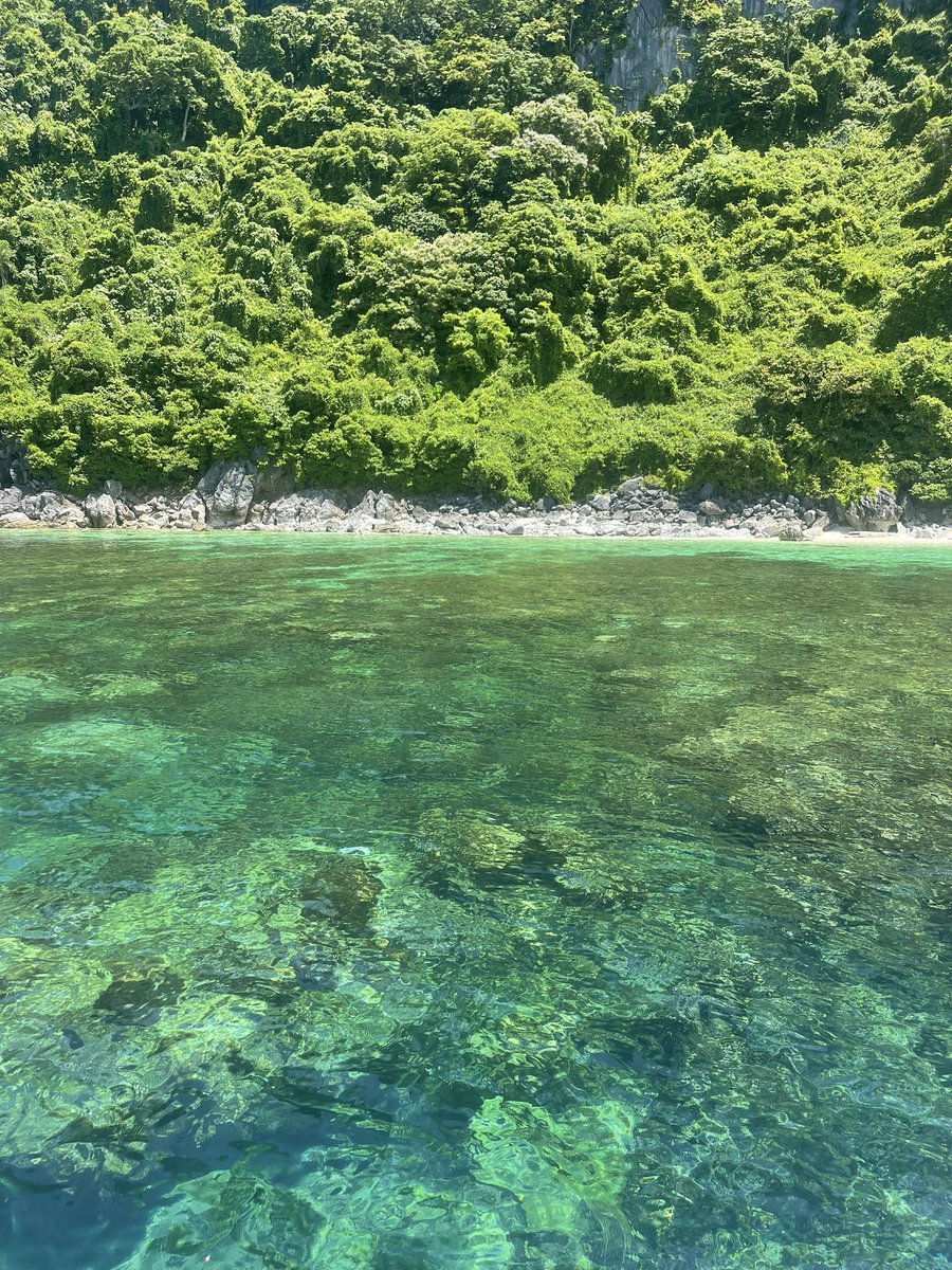 KENNADY ESTES tweet media