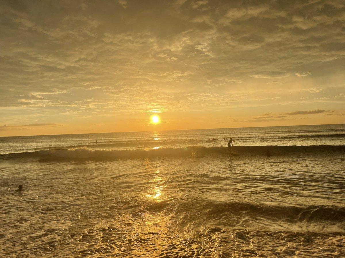 KENNADY ESTES tweet media