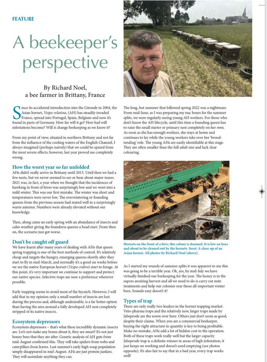 The August edition of BBKA magazine is out! Great articles on dealing with Asian Hornets. I am honoured to have been able to contribute!🐝🐝🐝
<a href="/britishbee/">BBKA</a>