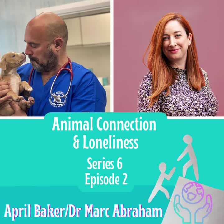 PODCAST: 'The Puuurfect Combination - Tackling Loneliness Through Animal Connection'. Psychologist @CirilloDr, @HelloTogetherCo CEO @AprilBrighton & me chat about combatting loneliness with pet companionship & how we can all help rescue pets: open.spotify.com/episode/3vOEah… #Paws2Connect