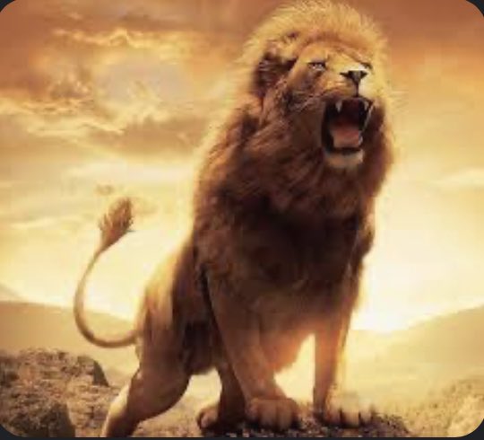 silver5376's tweet photo. @lion_army1 @LionFaiOfficial The King Of The BlockChain
https://t.co/CE3nluBtO9

#Bitcoin📷 #Ethereum #DeFi #NFT $XRP #fintech #crypto #cryptocurrency #BNB📷 #BSC #Binance📷 #Pepe #Pepecoin #MoonBoy #P2ESpace #Dogecoin #usdt #Shiba #Lionfai #lion #AI #ETH #LFOneMillionChallenge https://t.co/mPA5fErZiP