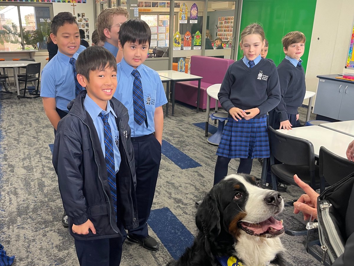 Infant Jesus School tweet media