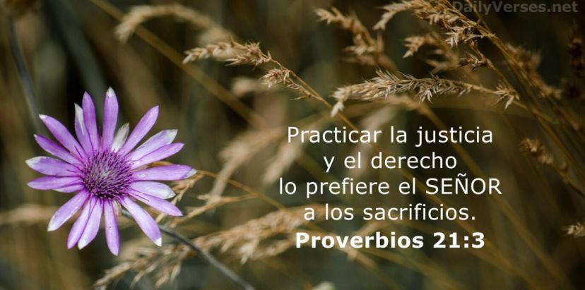 Yulilvarez19's tweet photo. @angelhdez50 @angelhdez50  tenga temor de Dios con esa injusticia que está cometiendo con el registro de elegible, ese todo lo ve y es un atropello hacer un nuevo concurso cuando puede ubicar los del registro. https://t.co/xx3iCcvZK5