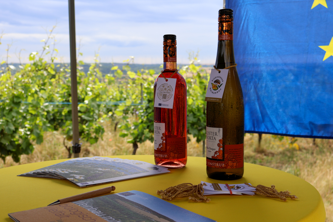 offenlandinfo's tweet photo. Kürzlich wurde das Piktogramm des Projektes #LIFEVineAdapt in Eulau bei Naumburg vorgestellt. Damit versprechen alle Projektpartner die Verwendung artenreicher #Regiosaatgut-Mischungen in Weinberggassen für #Biodiversität und #Erosionsschutz.
Mehr Infos: https://t.co/rArt7HJ6vm https://t.co/pBZNyuXZkt