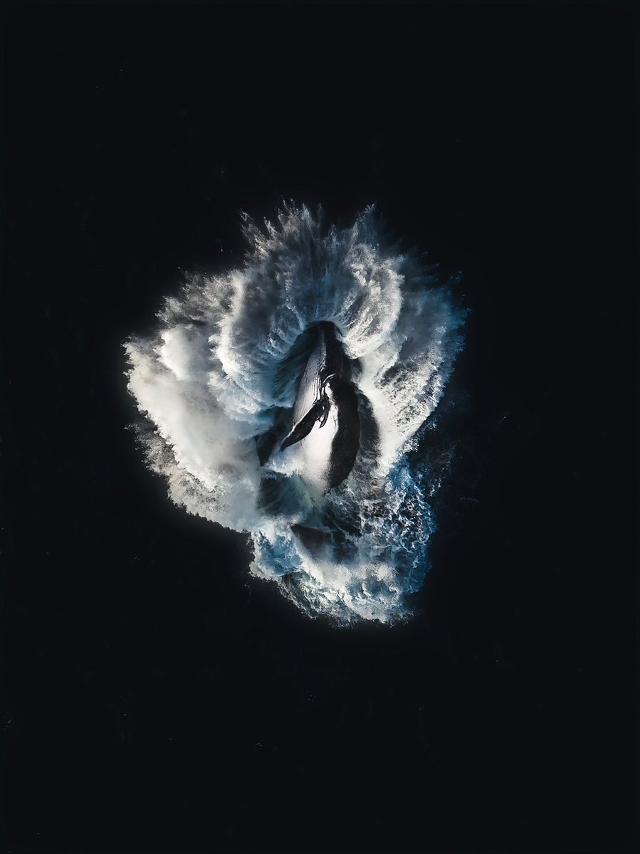 8•1•23
 
🐋💙🌊