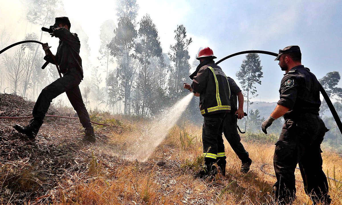radio_regional's tweet image. O incêndio no concelho de Sabrosa foi hoje dado como dominado pelas 02:30, disse à Lusa fonte da Autoridade Nacional de Emergência e Proteção Civil (ANEPC). ... | #FOGOSEINCÊNDIOS #REGIÃONORTE #REGIÕES #SABROSA #TRÁSOSMONTES #VILAREAL

radioregional.pt/sabrosa-incend…