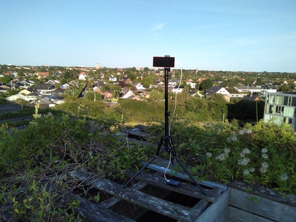 Peter Brodersen tweet media