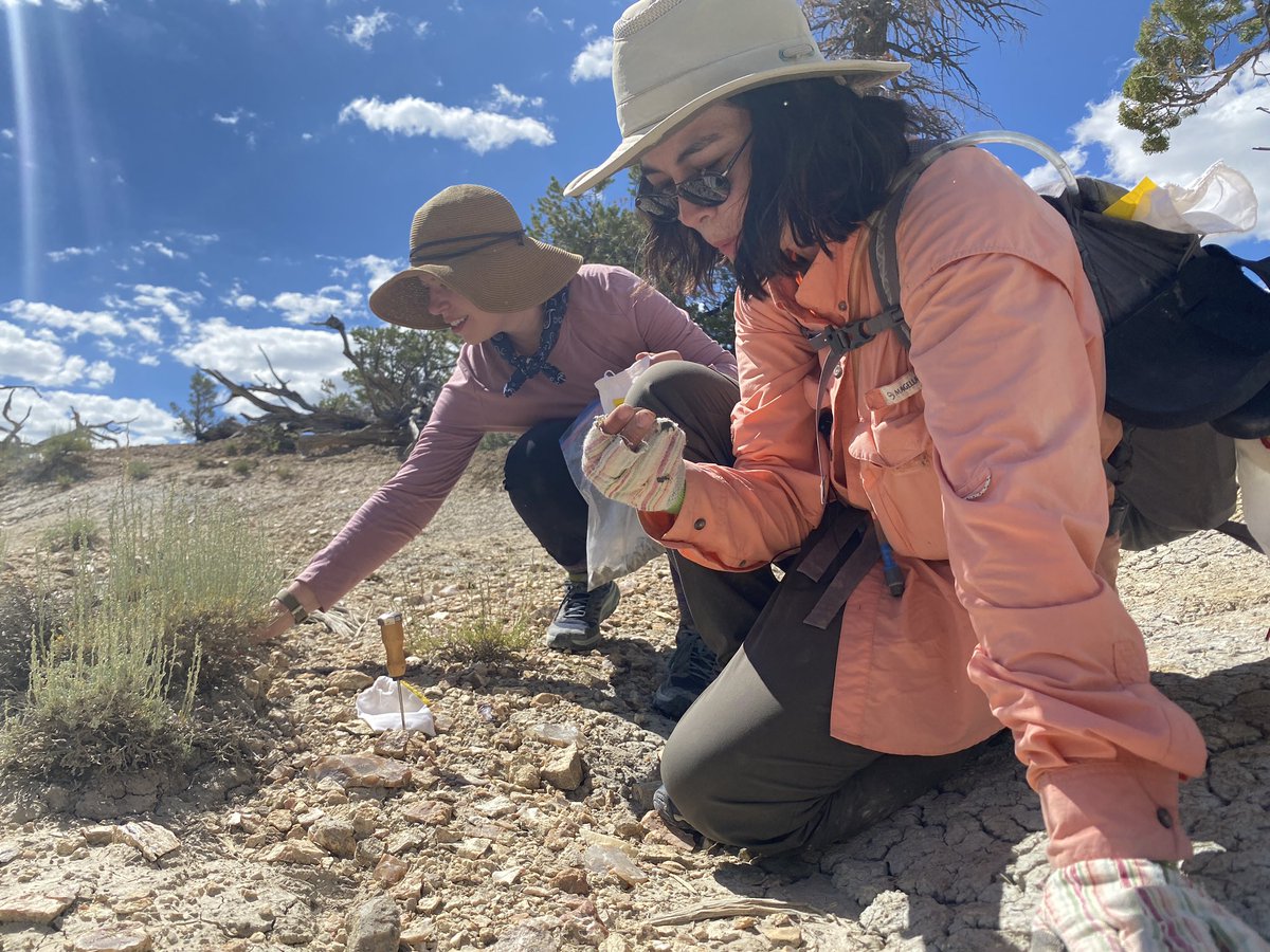 MattBorths's tweet photo. Celebrating #FossilFriday with the @DukeLemurCenter field crew in 36 million year old rocks in Southern Utah. Come for the artiodactyl ankle bones, stay for the rainbow rocks 🌈 https://t.co/4X5LPFYcYK