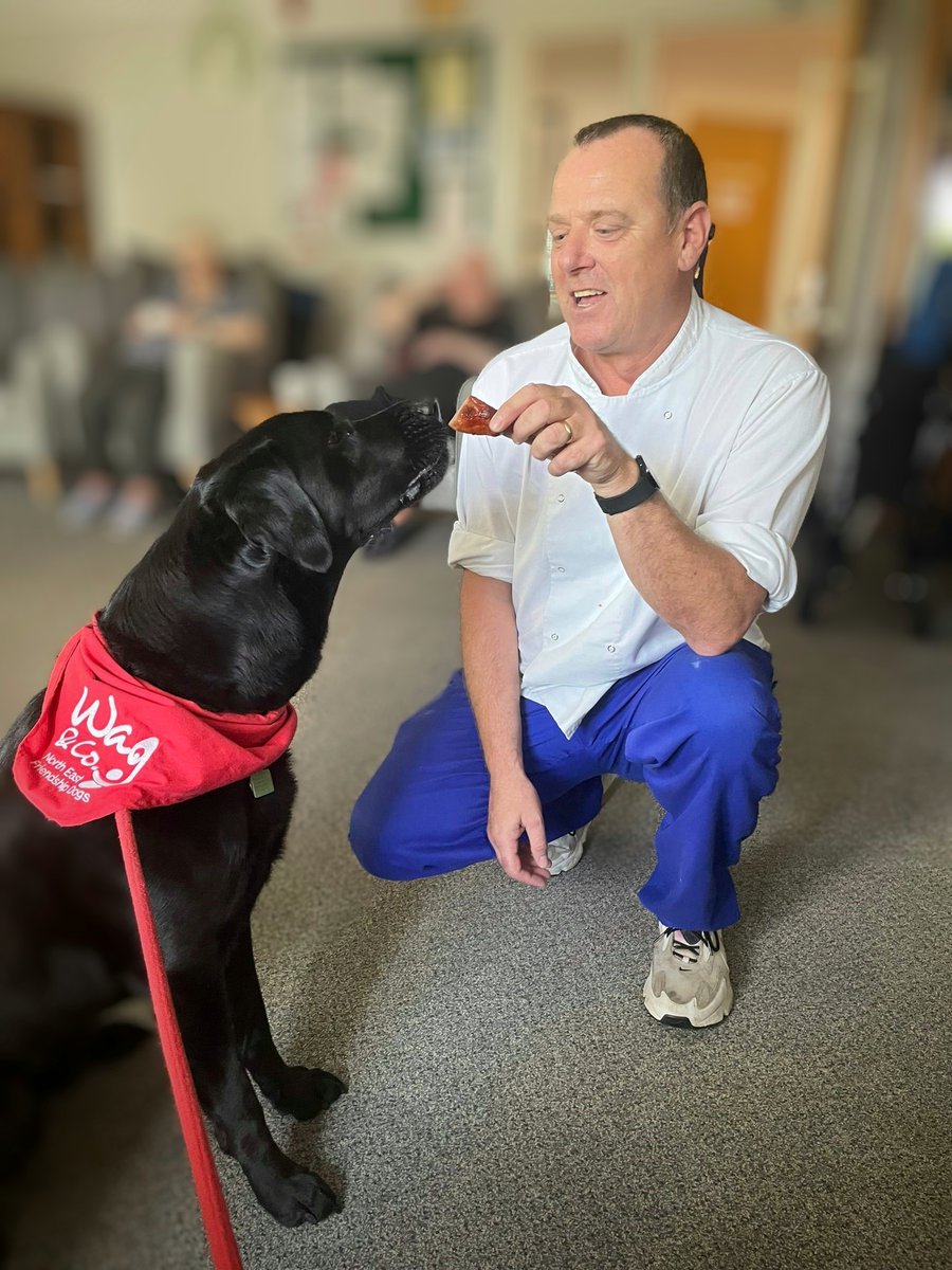 NCC Connie Lewcock Resource Centre tweet media