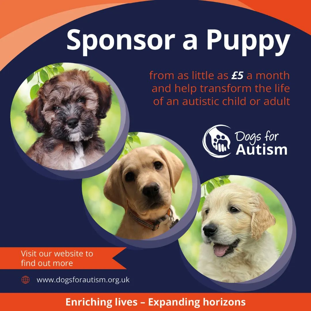 Dogs for Autism tweet media