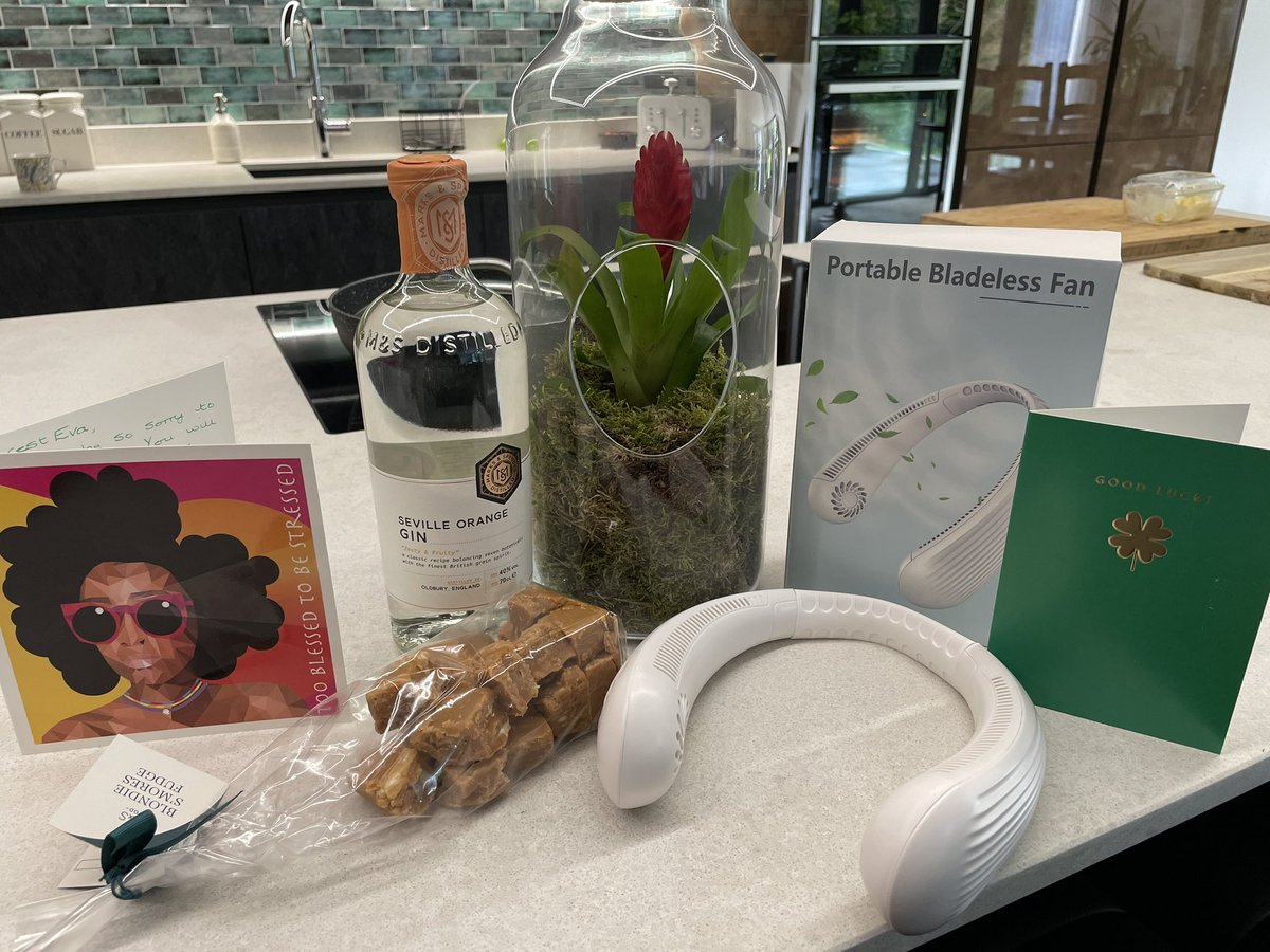 Eva Trkulja tweet media