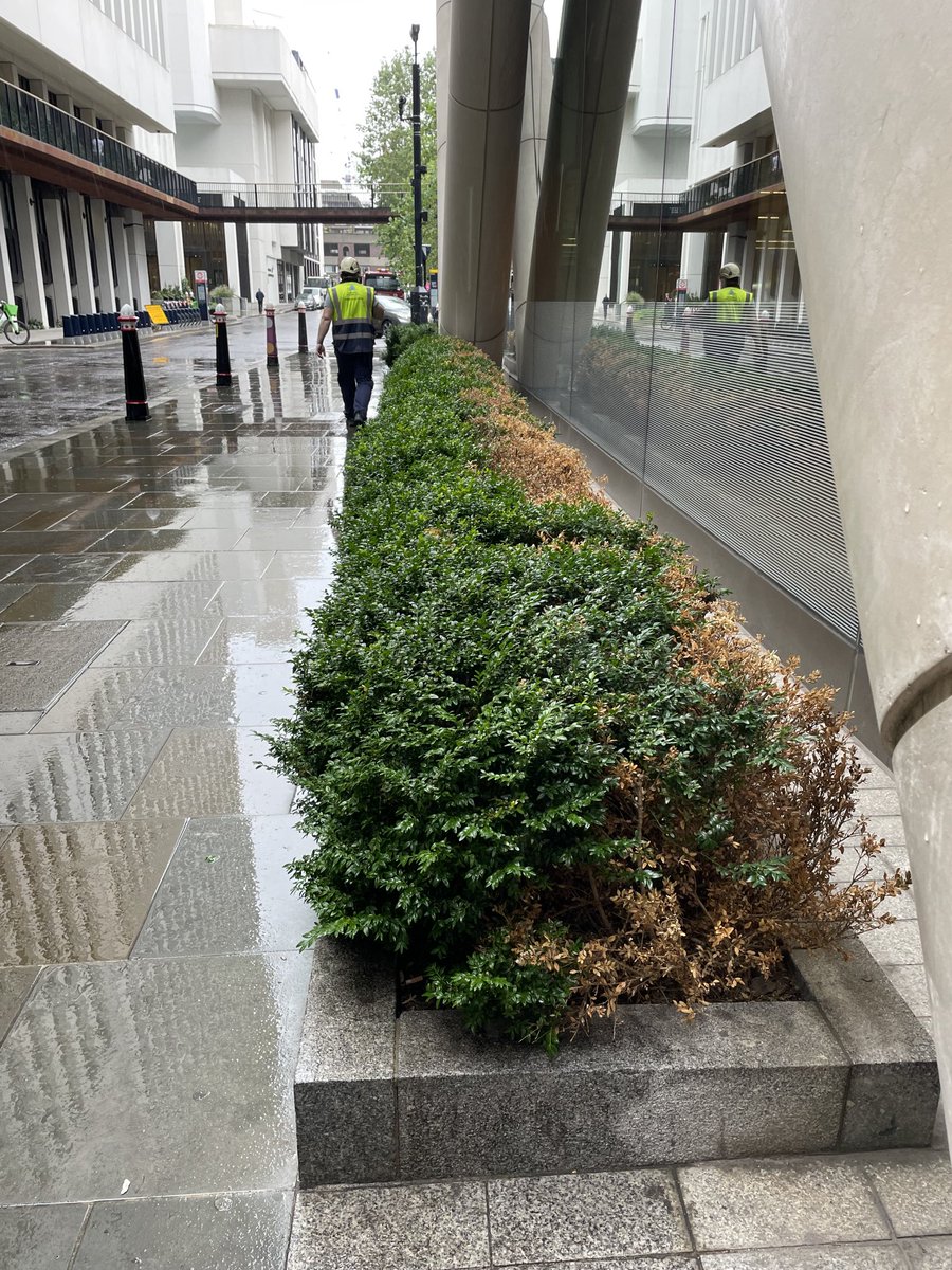 Sarah Gaventa tweet media